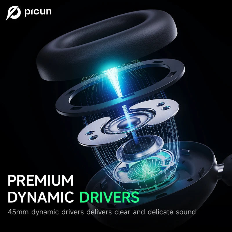 Picun F6